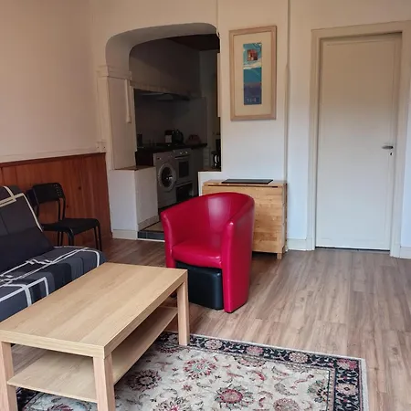 Marguerite T3 Avec Garage Et Jardin Privé Appartement